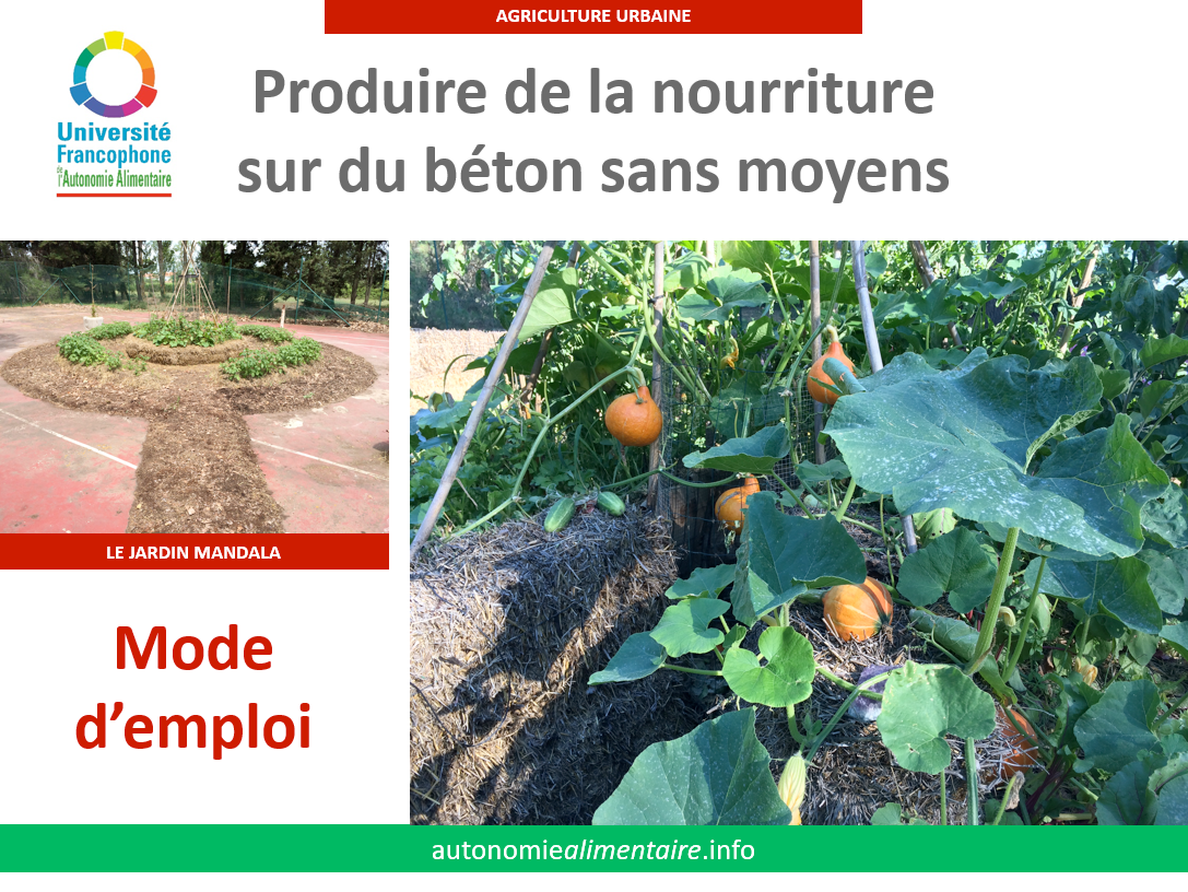f55119_0a3504f903714e2a9170d3bd1c81ec5bmv2 Comment cultiver sans terre et sans argent