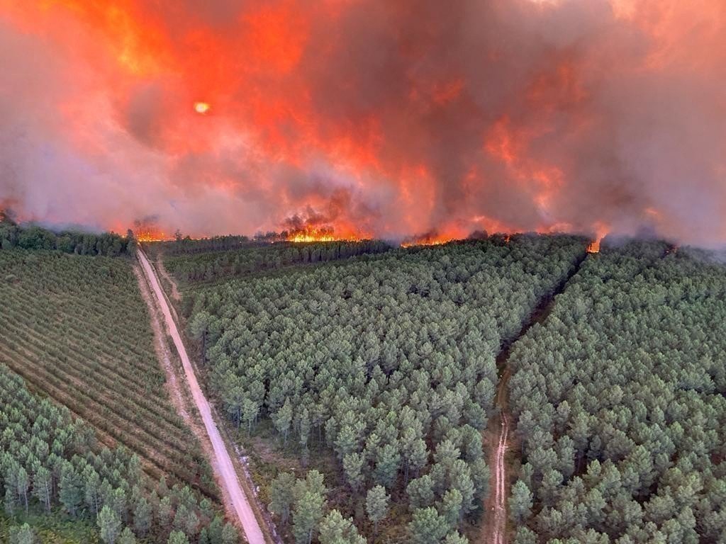 f55119_0add2d1f9f454ed2a428ea73f6c33cbbmv2 Les incendies de 2022 en Aquitaine sont-ils dus au réchauffement climatique ?