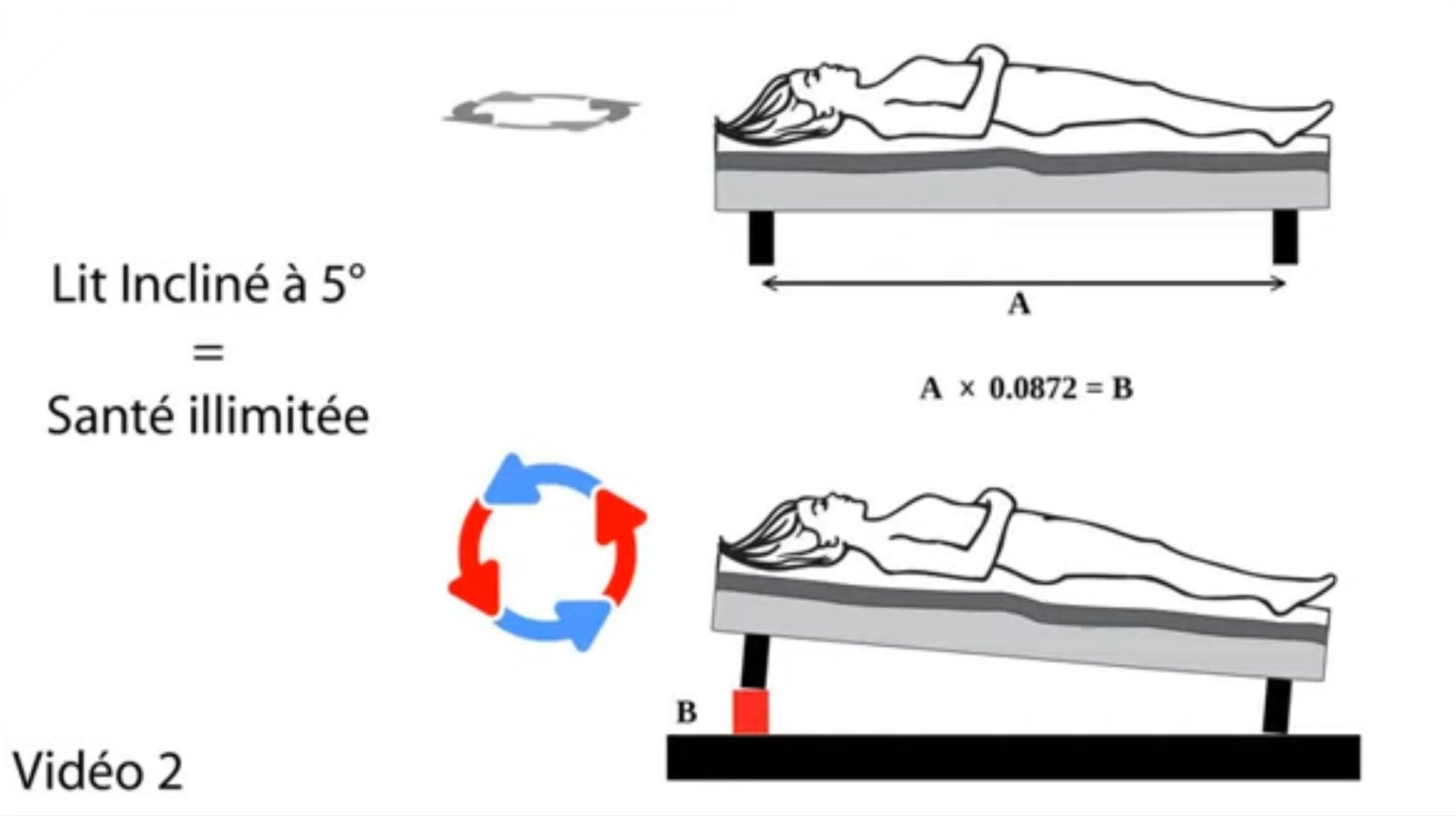 f55119_17386d22d4a34065b05da1de2d16998emv2 Dormir sur un lit incliné : prenons modèle sur la sève des arbres