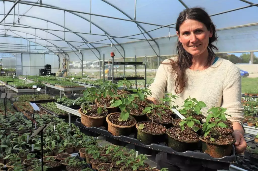 f55119_267a5acf828047218a6a43053db14a41mv2 La permaculture en Bretagne