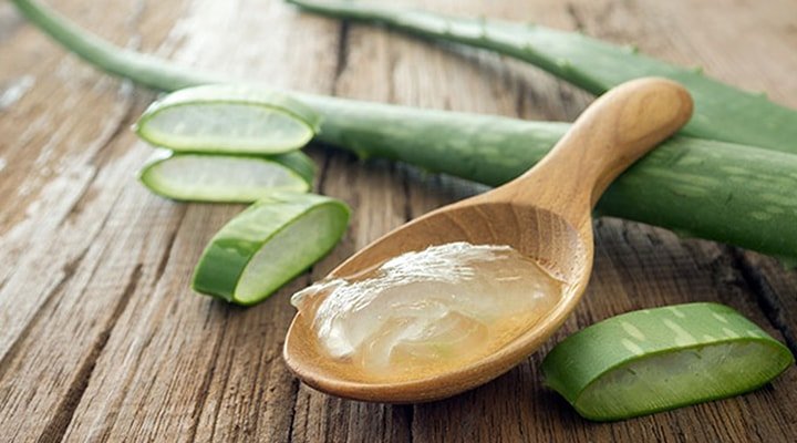 f55119_2d3b6d40a4d54c47a04a1e8925b3e335mv2 L’aloe vera, LA plante médicinale aux multiples vertus à avoir dans son jardin