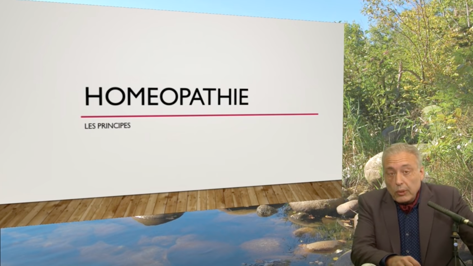 f55119_4615316187ec4c7891b414095470e986mv2 Les principes de l’homéopathie selon le Dr Édouard Broussalian