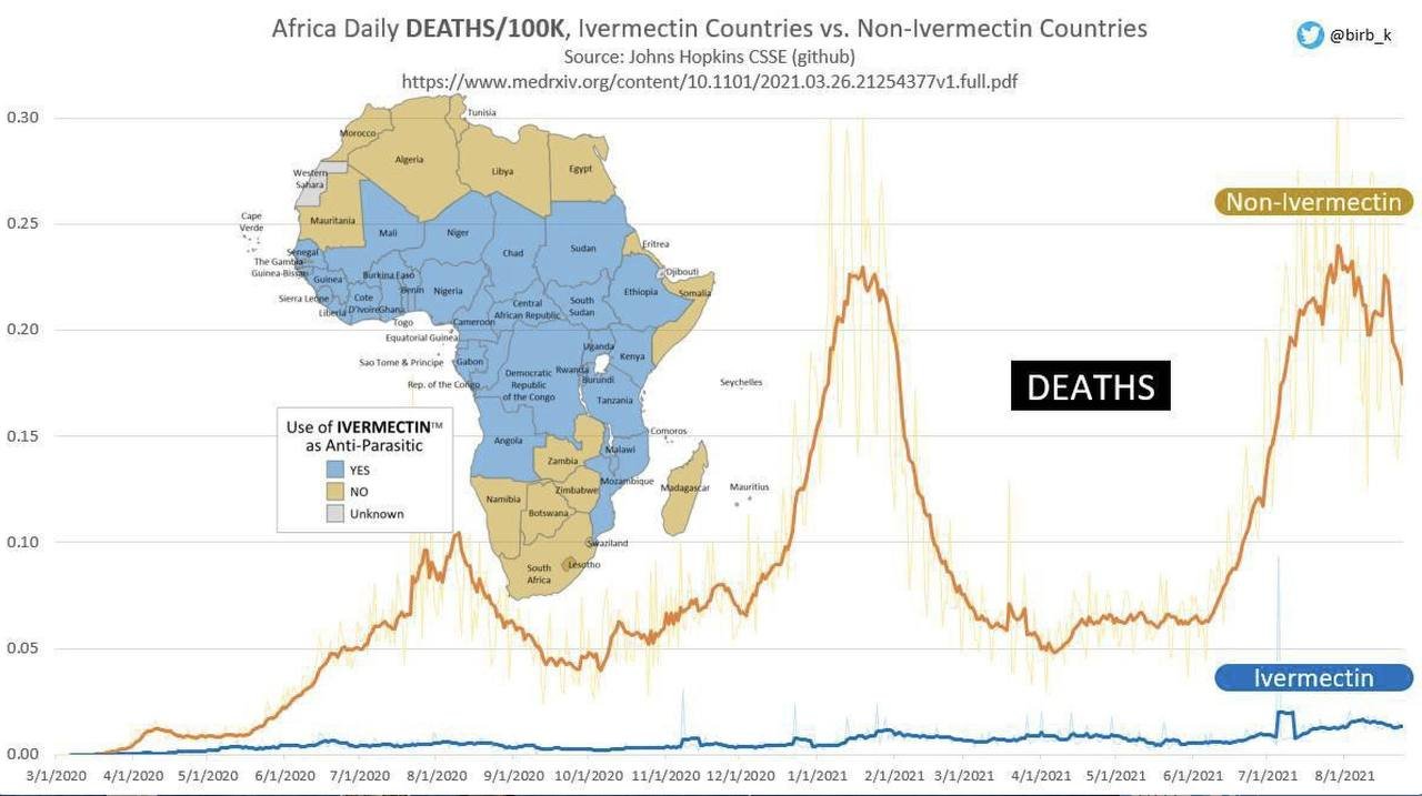 f55119_54e0099f78db4dbfa7f34ffb411a4c3fmv2 Soigner ou pas avec l'ivermectine : la situation en Afrique