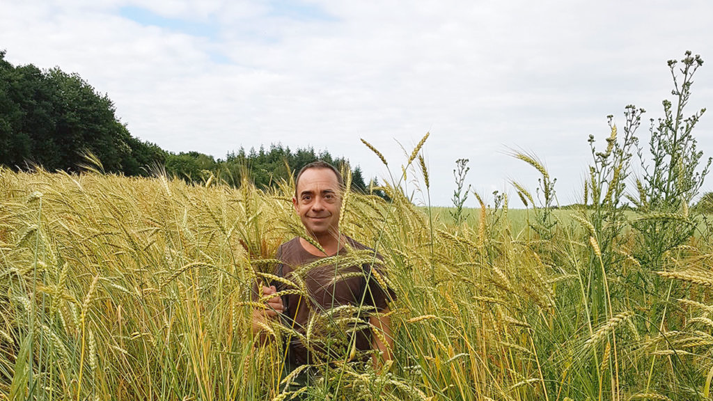 f55119_5577c3f7abc24567b6e63fcf35463afemv2 Nicolas Supiot et la transmission de son savoir-faire d’agriculteur-boulanger