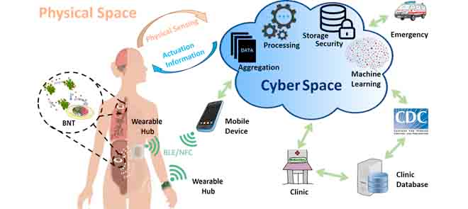 f55119_5dd481420498417bb287cafab1ce3278mv2 Étude: Internet des Bio-Nano-Objets pour la détection précoce et l'atténuation des maladies infectieuses ("PANACEA")