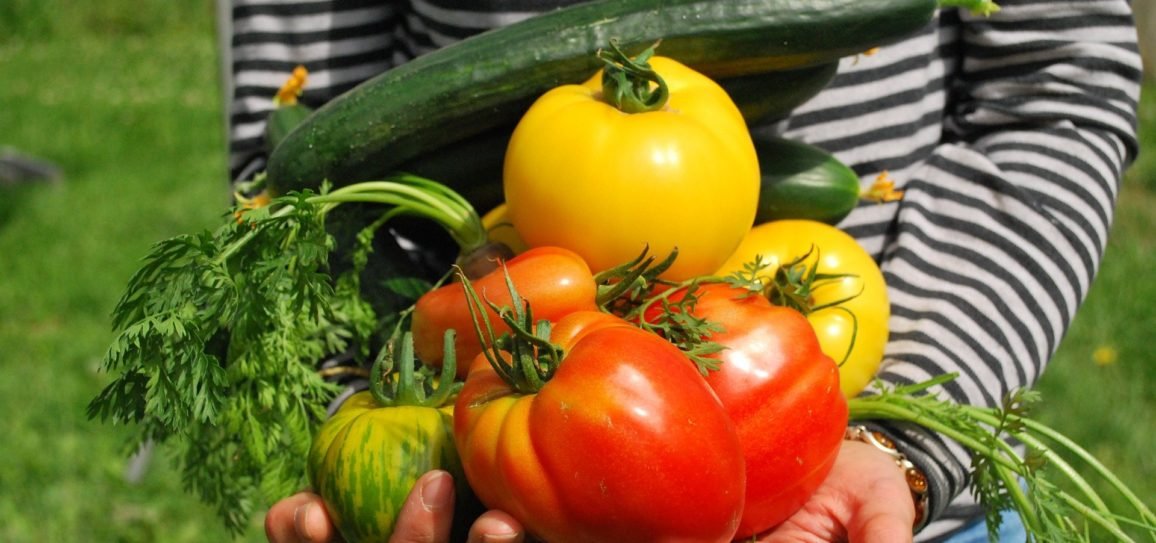 f55119_605544e4b97b459b9db9158b7eb6858amv2 Si j’étais maire, que ferais-je pour assurer la sécurité alimentaire et énergétique de ma commune?
