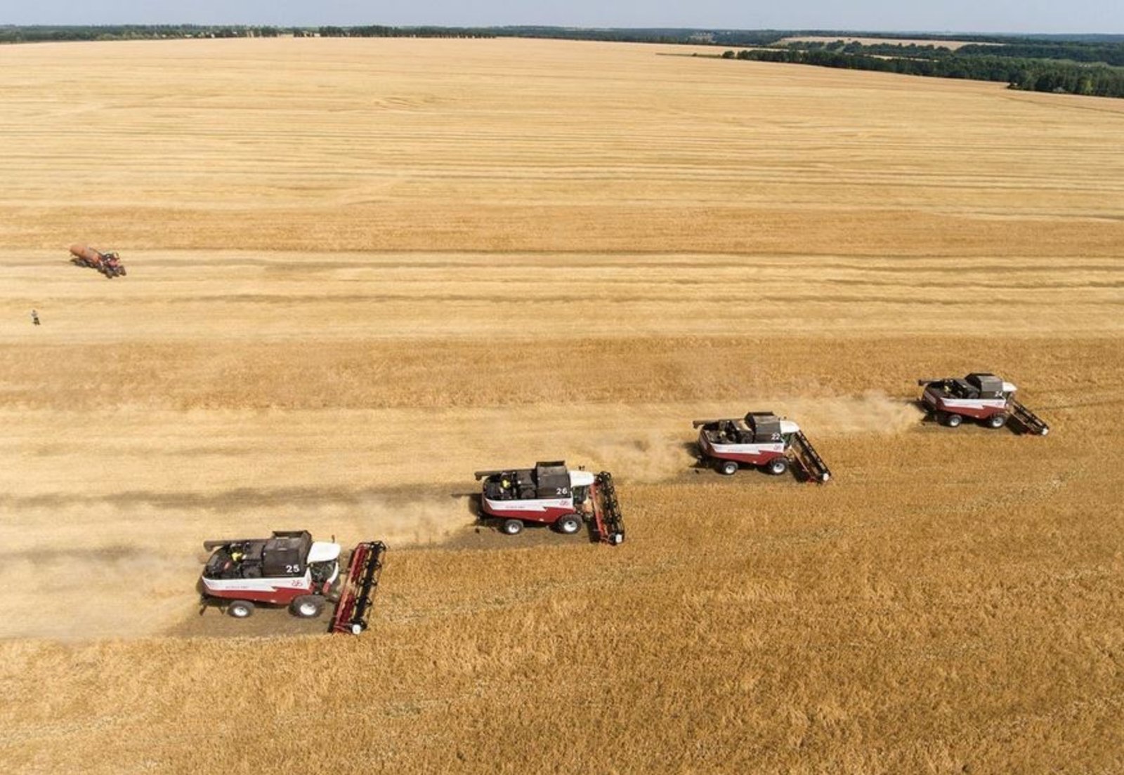 f55119_678d4f42d4d243f89f1d07ef47a89a6bmv2 Trois entreprises américaines contrôlent plus d’un tiers des terres agricoles ukrainiennes