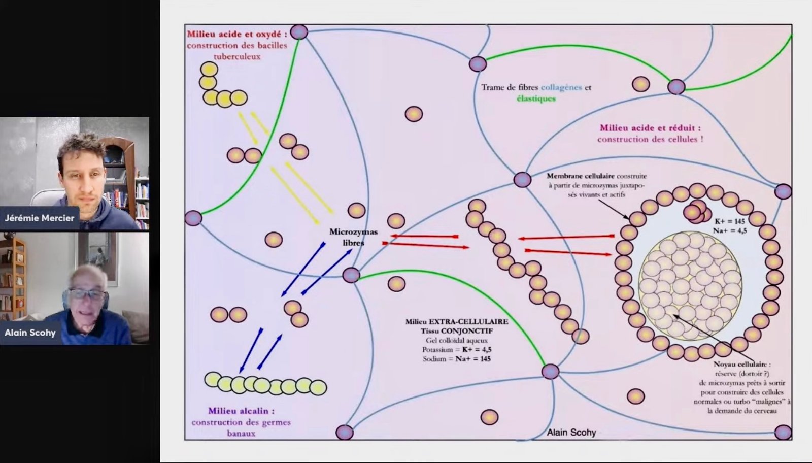 f55119_872764fab19e4dd080dd13038e69702emv2 Et si la biologie moderne avait (presque) tout faux?