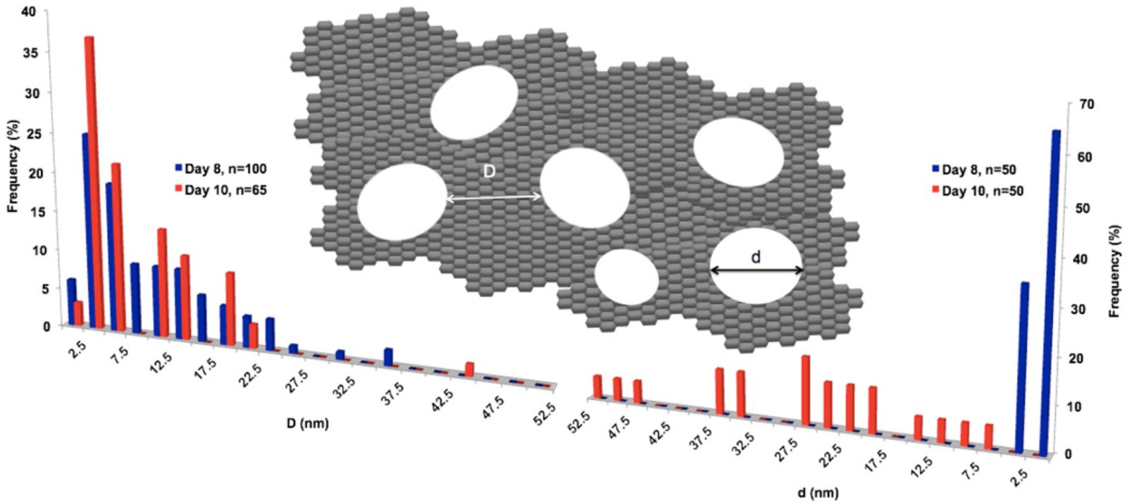 f55119_b035237fee154be5838228ba0fc09bc3mv2 Sortie d’une étude sur l’oxydation enzymatique de l’oxyde de graphène