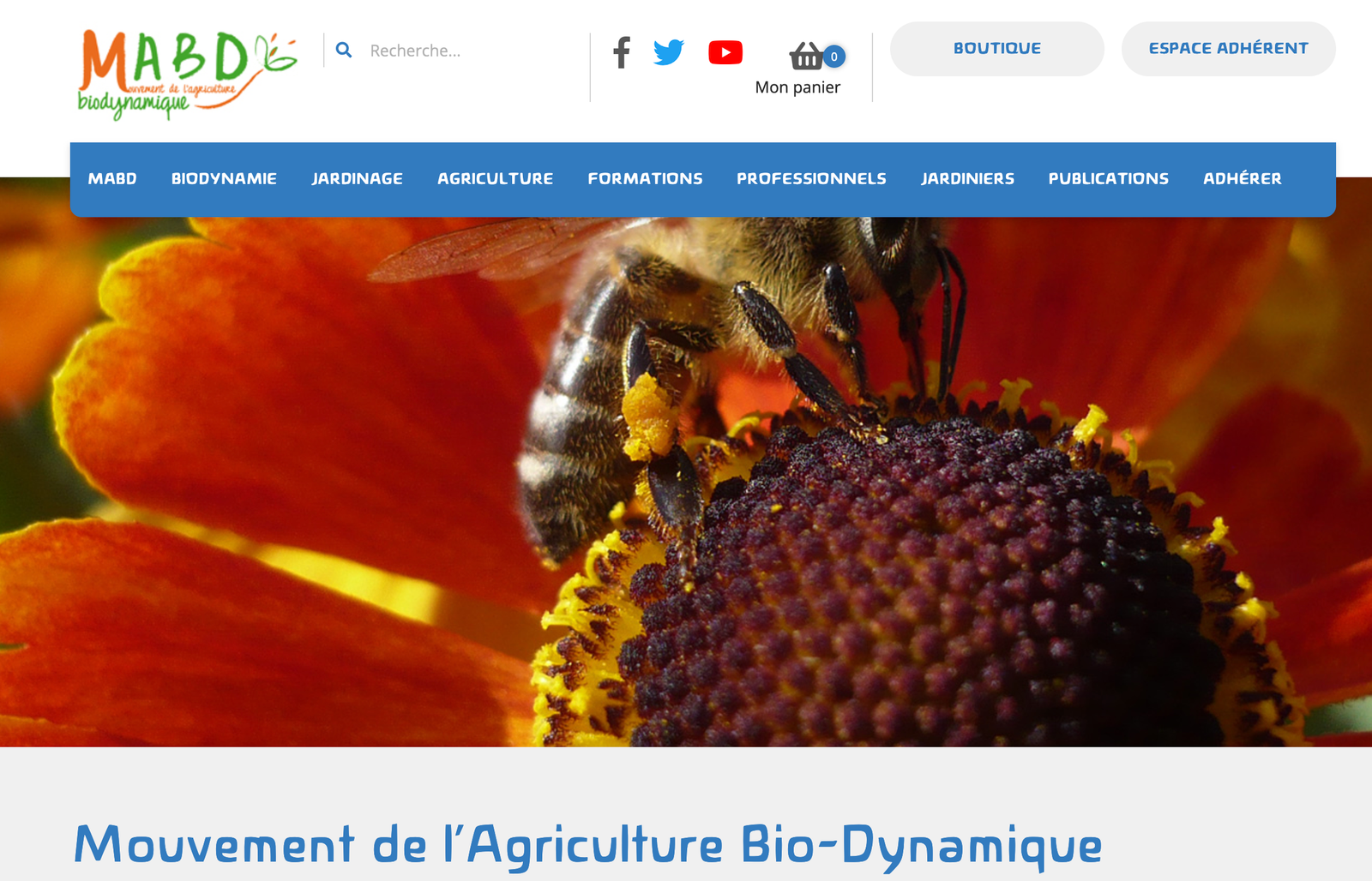 f55119_b29e3c4cfe42482bbc09c49e18ab02a4mv2 Série "Biodynamie " : le Mouvement de l'Agriculture Bio-Dynamique (MABD)