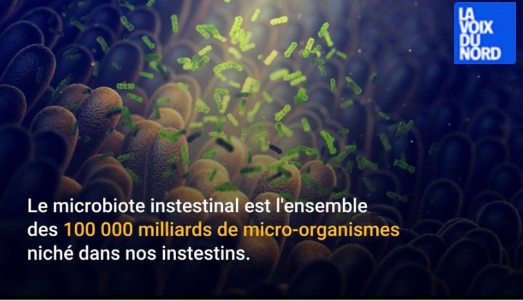 f55119_bdc037bfc26146859ed32751ebe208b2mv2 COVID 19: quel est le lien avec le microbiote ?