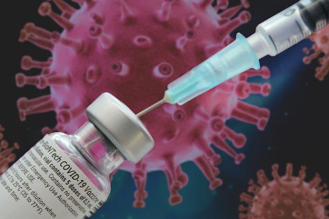 f55119_d02c0de9d2b948eaa0287f167bd88682mv2 Vaccinés infectés Covid: contagieux plus longtemps que les non-vaccinés, selon une étude
