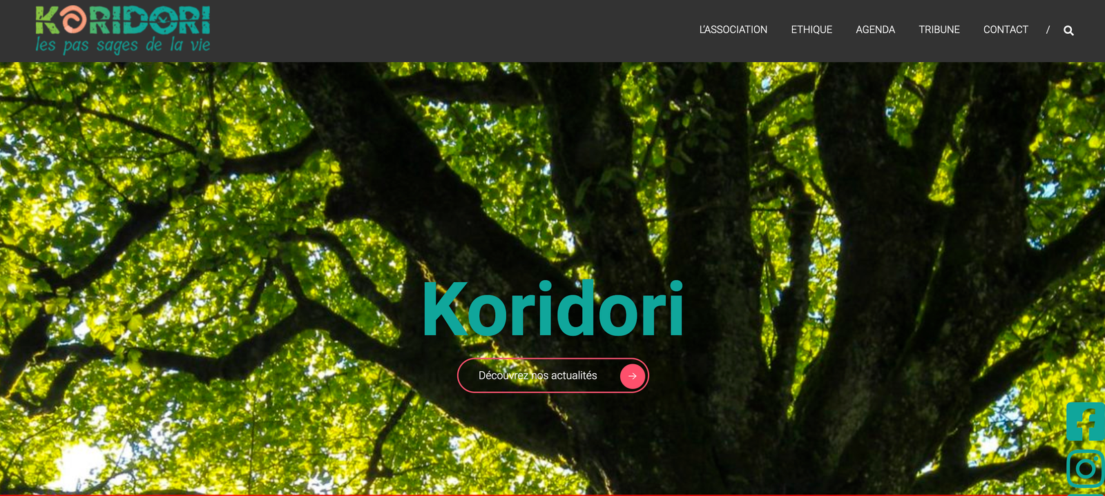 f55119_d2977b9a8c8f401495c1d743c2312f53mv2 Mouvement Koridori