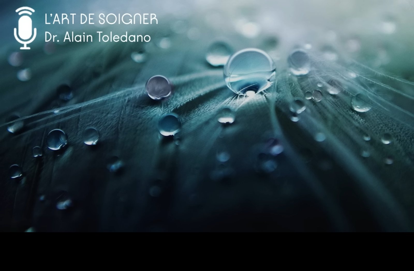 f55119_d969094aeb2f4a1ea96ec6de7deae02emv2 Médecine intégrative : l’art de soigner avec le Dr Alain Toledano