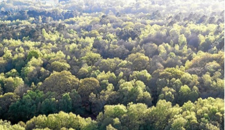 f55119_ecb1f1d2bfb34cf6904c323a482940b3mv2 En raison du risque d’incendie, l’accès & la circulation de véhicules sont interdits dans les forêts