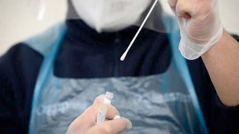 f55119_fe250787a4ee4400b0877a9d59bb4cb4mv2 La Chine a passé une commande massive de tests PCR des mois avant le premier cas officiel de COVID
