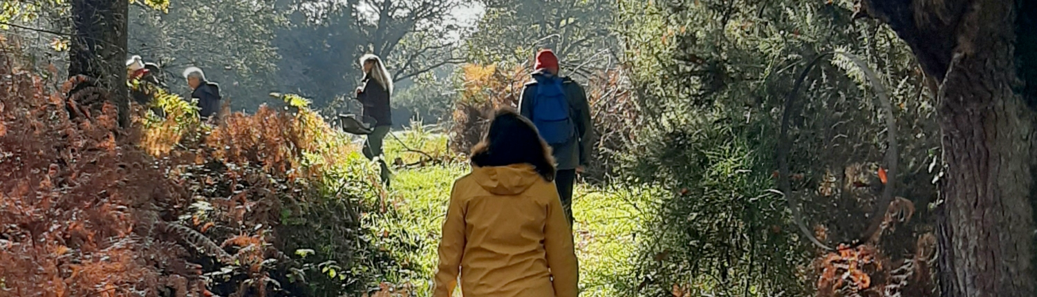 f55119_ffa906e4e10b401a9c8b1933241da190mv2 "Demain en main" : stages variés en lien avec la permaculture, pays d'Auray